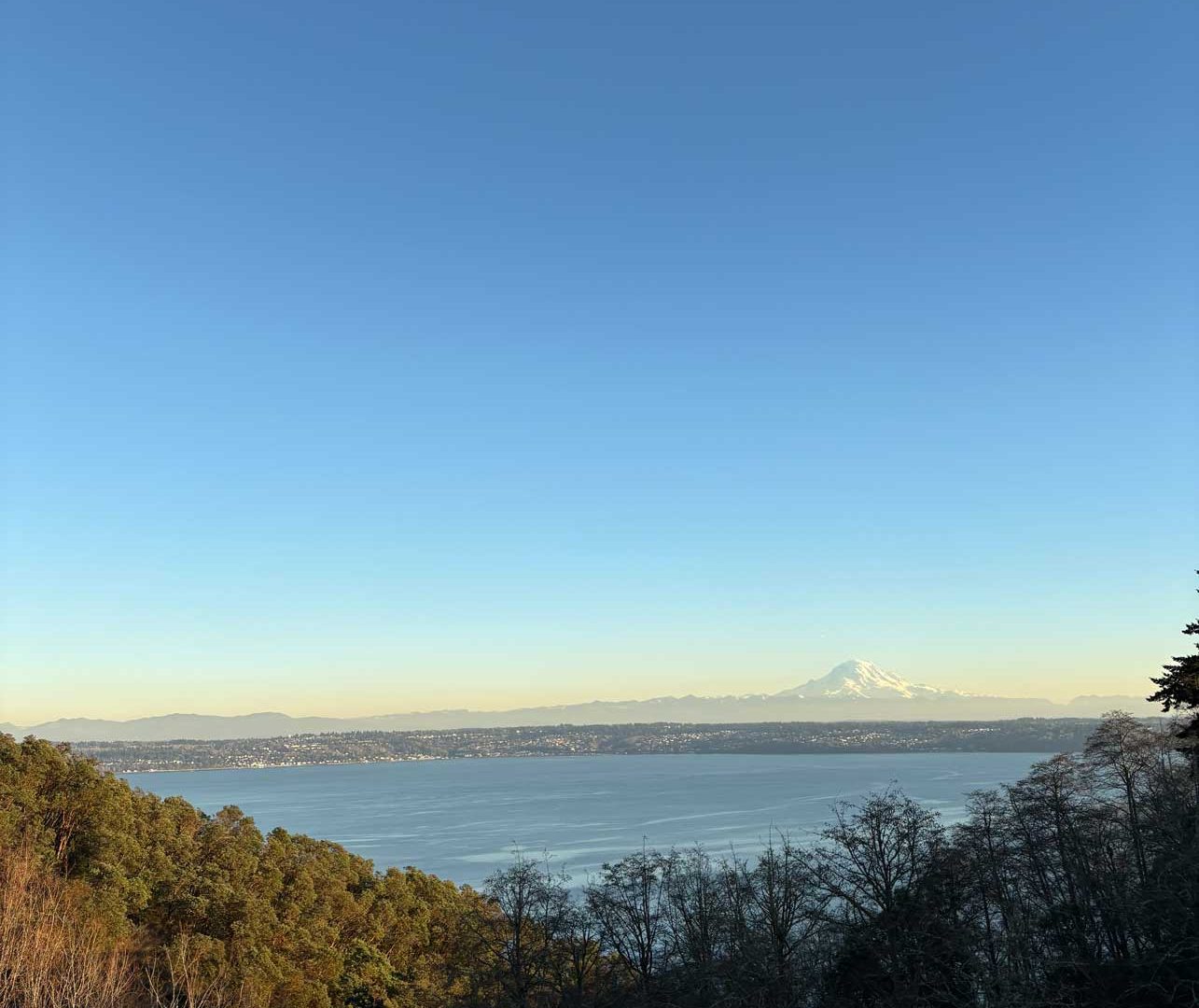 Donde no arde el volcán by Lynn Soriano