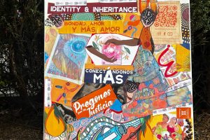 Muchas raíces, un solo movimiento: Reflexiones de la Junta Directiva sobre identidad y MÁS