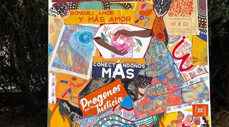 Muchas raíces, un solo movimiento: Reflexiones de la Junta Directiva sobre identidad y MÁS